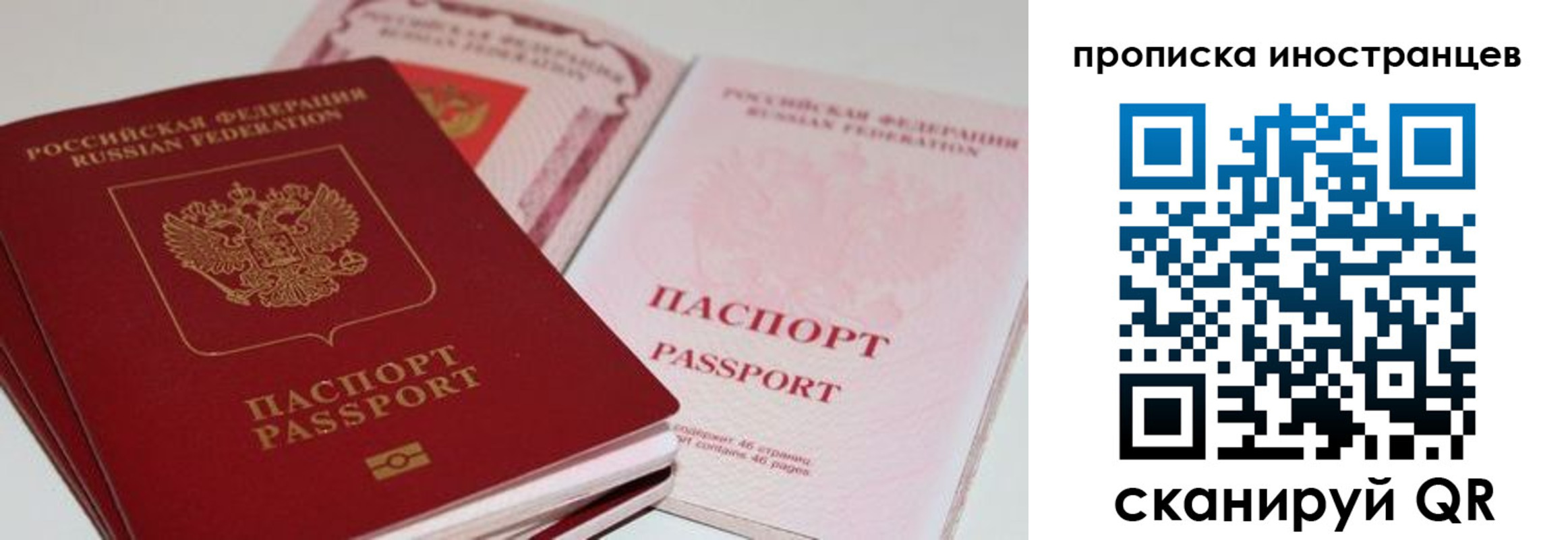 прописка поиск в Ноябрьске